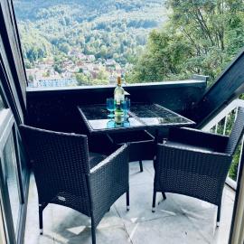 Penthouse Overlooking the Neckar