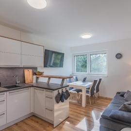 Apartmán Černá v Pošumaví