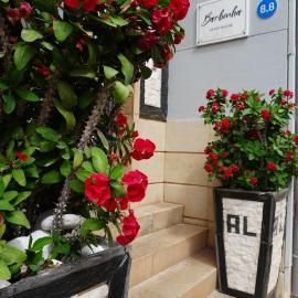 AL Barbinha, hotel u Faru
