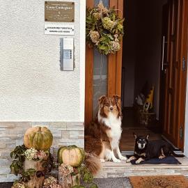 Casa Castegner - Rooms، فندق في Seren del Grappa