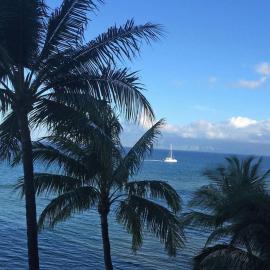 Gorgeous Views Ocean Front Mahana 617!