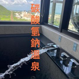 頭城溫旅無邊際泳池の宅