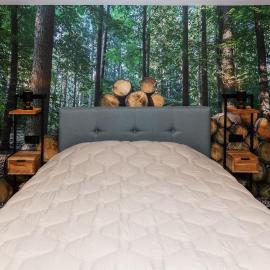 Comfortabel 2- persoons vakantiehuis nabij bos in Drenthe, hotel en Schoonoord
