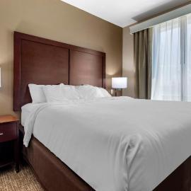 Comfort Suites Plano - Dallas North, מלון בפלאנו