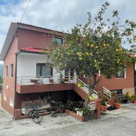 Apartamentos Rovi