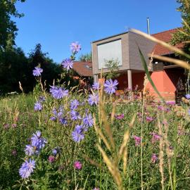 Ferienloft Libela Straupitz im Spreewald – hotel w mieście Straupitz