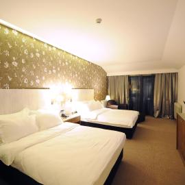 Belgrade में, होटल Hotel 1000 Ruza
