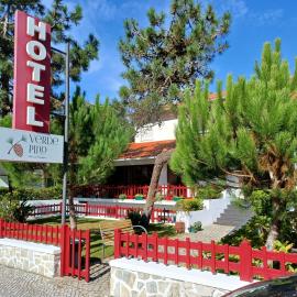 Hotel Verde Pinho Bed&Breakfast, viešbutis mieste São Pedro de Moel