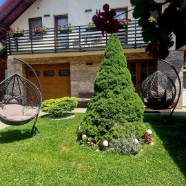 Comfy House, hotel v mestu Borşa