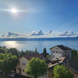 Hôtel Savoie Léman
