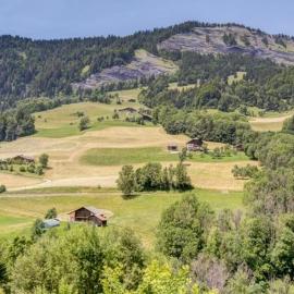 Chalets des Evettes- appartement vue montagne, hotel em Flumet