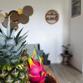 Cocon des Alizés, Hotel in La Moïse