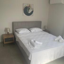 Relax Luxury Villa Close to the Airport and Beach SEA