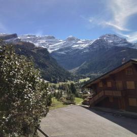 Delightful one bedroom apartment in Les Diablerets