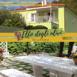 B&B Elfo degli Ulivi