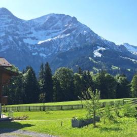 Chalet Casa Rosina, hôtel à Adelboden