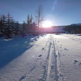 Alpine Escape Krimml