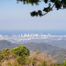 Three Pines - Tiny Home & Gold Coast Views