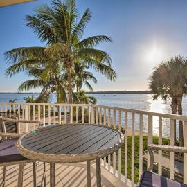 Best Views in St Pete for Dolphin Viewing
