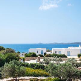 Antiparos Olive House
