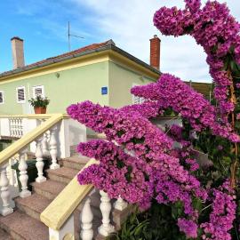 Apartment Mili, hotel in Sutomišćica