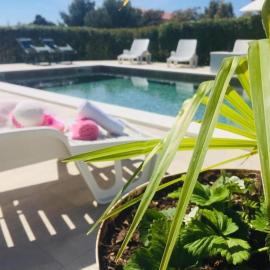 Apartments Pool