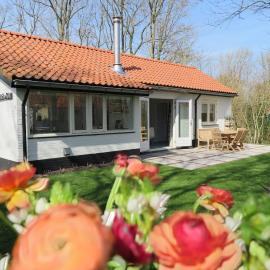 Welcome in - Vebenabos 14 Bos en Duin, achter de duinen, houtkachel, heerlijke tuin