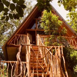 Angry Birds Tree house new cabana