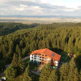 Mountain-Rest Pension, hotel in Miercurea-Ciuc
