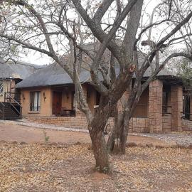 Assegai Lodge, hotel i Moheme