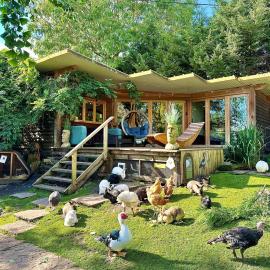 The Base Vegan Retreat Animal Sanctuary, Hotel in Bristol