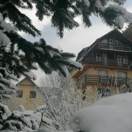 Pensiunea Vladis, hótel í Lupeni