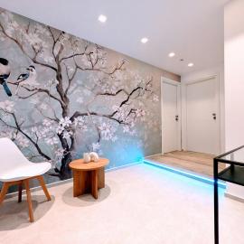 CHERRY BLOSSOM casa vacanza