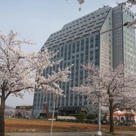 The WITT DOGO, hotel en Asan