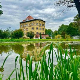 Młyn Witowice, ξενοδοχείο σε Witowice