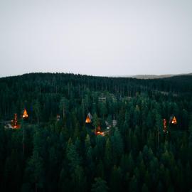 PAN Treetop Cabins，Åsnes的飯店