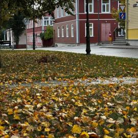 Katariina allee korter, hotel a Võru