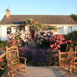 Herons Cove Cottage