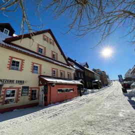 Penzion Erika, hotel in Boží Dar