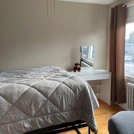 Entire Apartment
