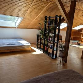Eigene Etage im charmanten Holzhaus，米斯巴赫的飯店