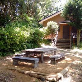 Wooden House