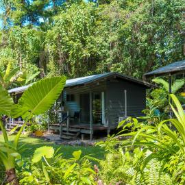 Safari Lodge, hôtel à Cape Tribulation
