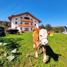 Gewölbe-Chalet am Schöberlhof، فندق في Eiselfing