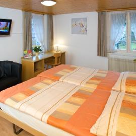 Gasthof Frohsinn, hotel din Flurlingen