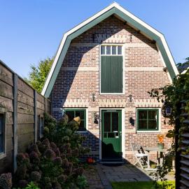 De oude walnoot
