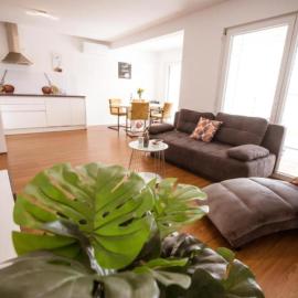Apartma Sofija, Moravski Dvori, Hotel in Moravske Toplice