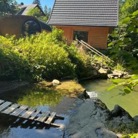 Chatka z sauną nad rzeką, Hotel in Żabnica