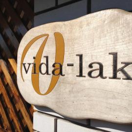 Vida-lak, hotel in Berekfürdő