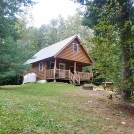 Wild Fox Cabins, viešbutis mieste The Pines